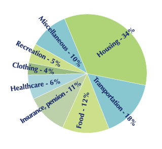 pie chart for budget